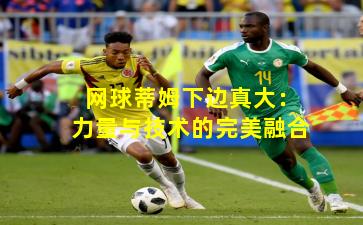 网球蒂姆下边真大：力量与技术的完美融合